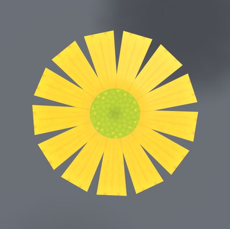 Frühe Fassung der Blüte von oben, ein gleichmäßiger Kranz aus gelben Blütenblättern