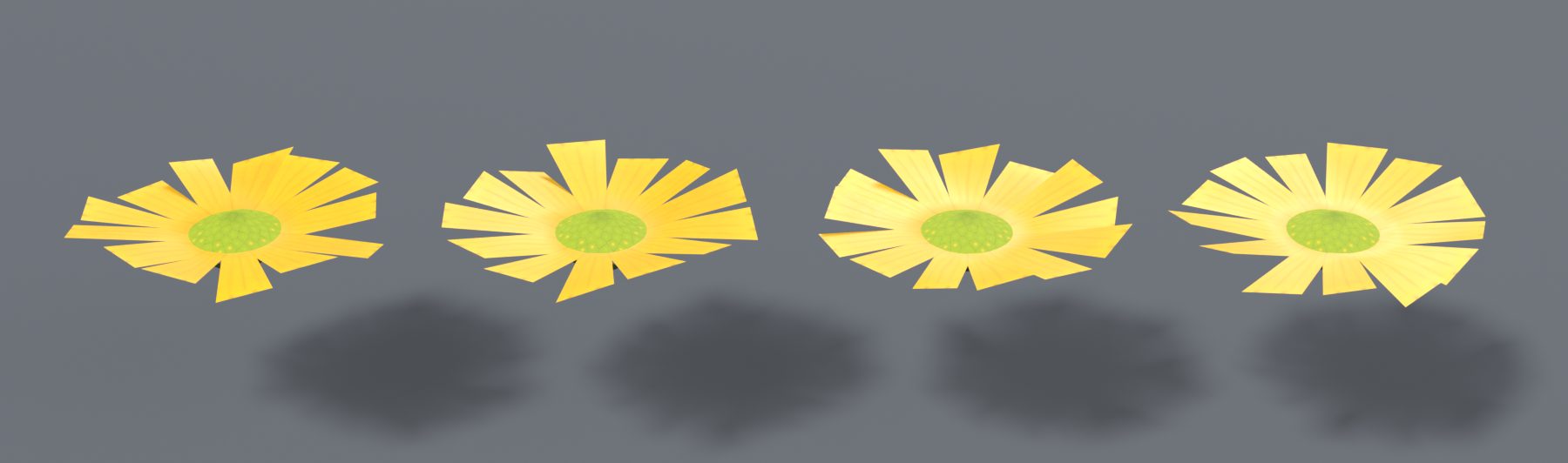 Vier offene gelbe Blüten, deren Blütenblätter unterschiedlich lang, versetzt und schräg gestellt sind, mit spitzen Enden