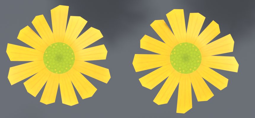 Zwei Blüten von oben, links mit eckigen, rechts mit runden Enden der Blütenblätter